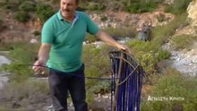 Λάβδανο: Το Μύρο της βίβλου και οι αλαδανάρηδες του Μυλοπόταμου