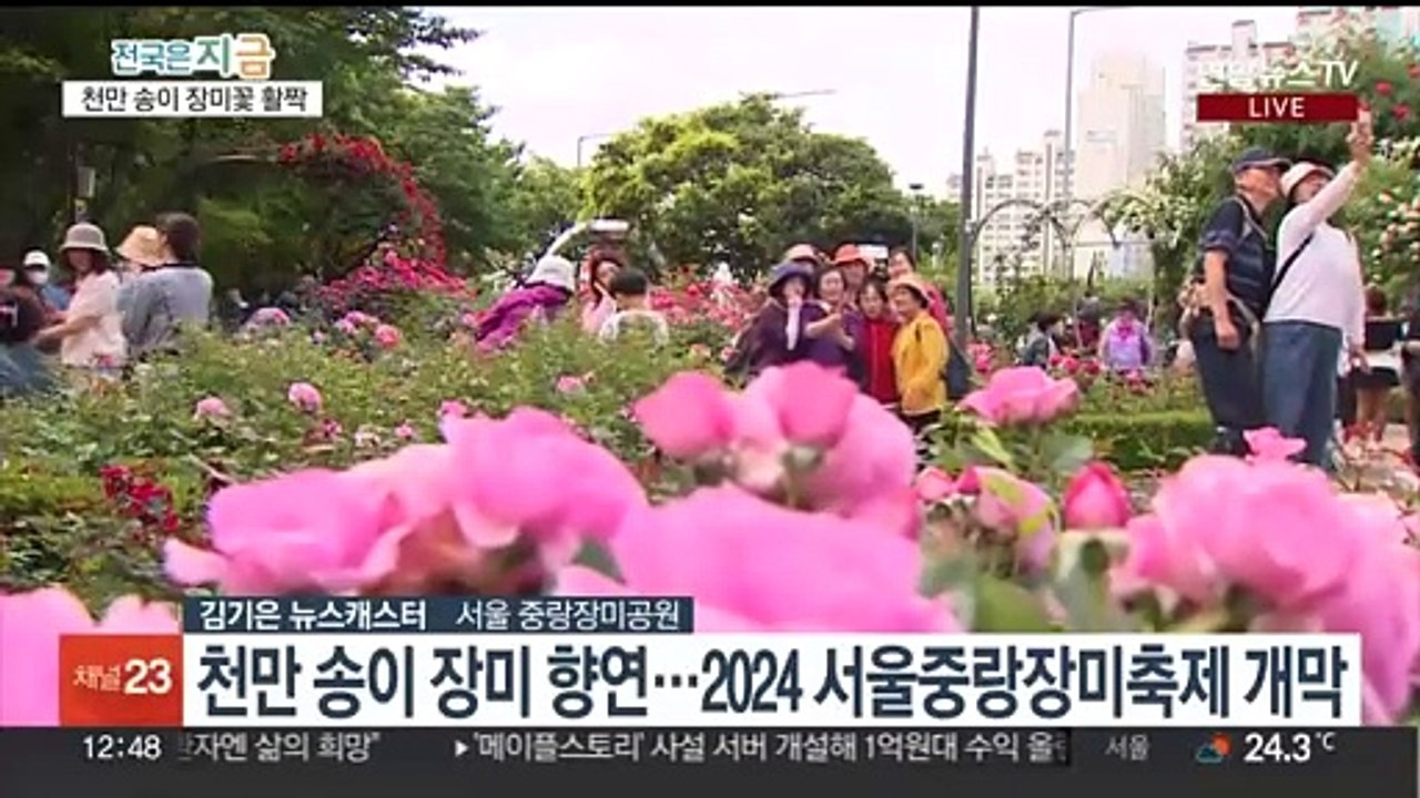 천만송이 장미 '활짝'…2024 중랑 서울장미축제