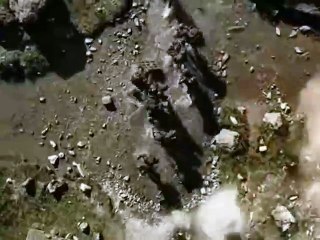 Must-Watch Bollywood Blockbusters of 2024 🎬