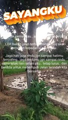 AB LDR long distance love