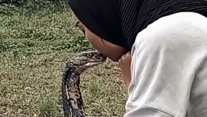 Mulher beija cobra venenosa e provoca revolta na internet 🐍