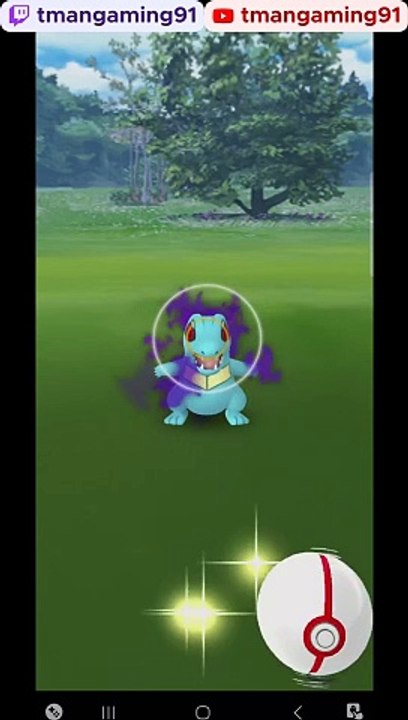 Pokémon GO-Shadow Totodile