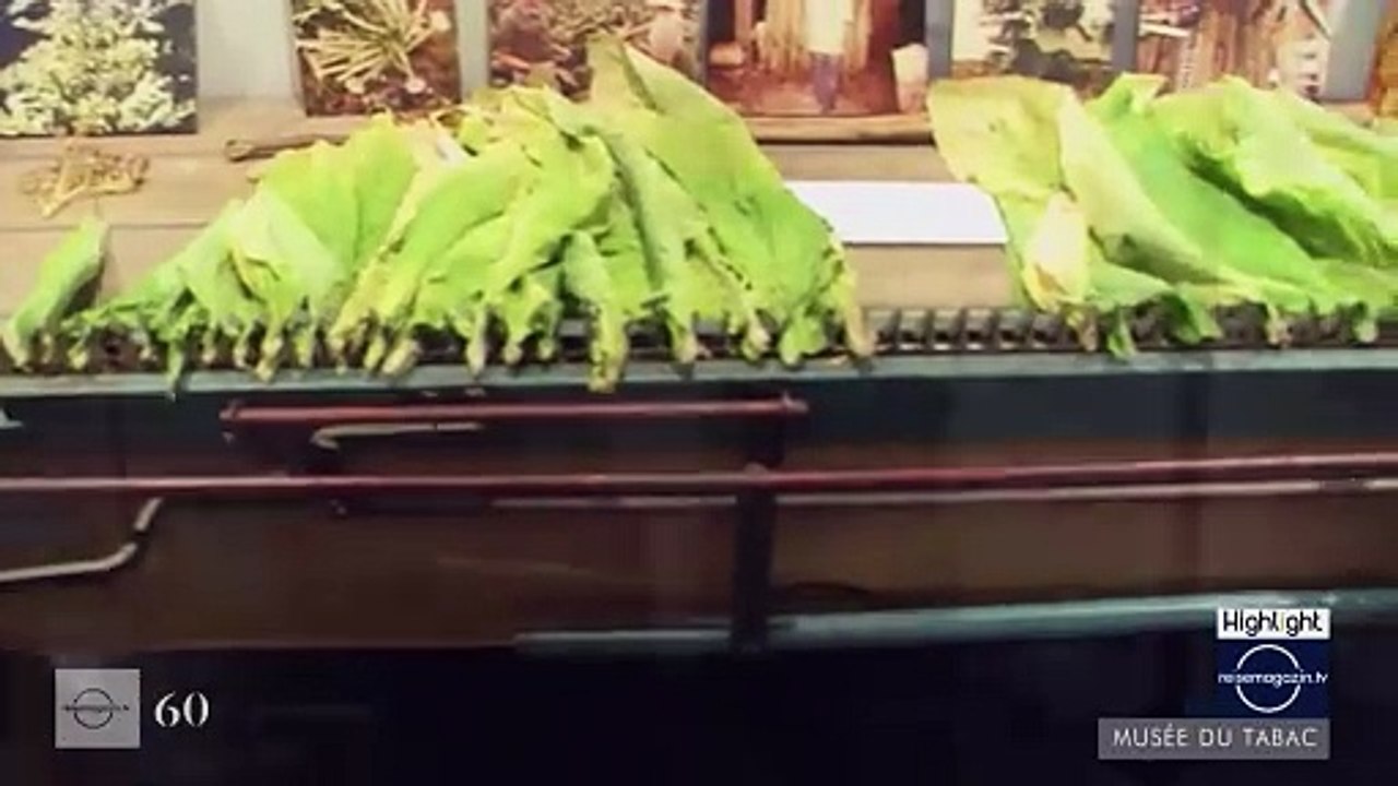 Tips-4-Trips - #Tipp20 -- Das Tabakmuseum in Bergerac in einer Minute