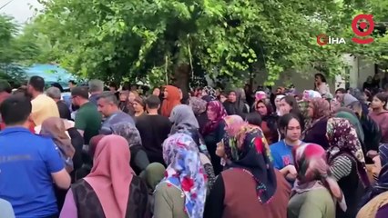 Hastaneden taburcu edilmiş! Minik Gökçe'nin son sözü 'anne beni bir şey ısırdı' oldu