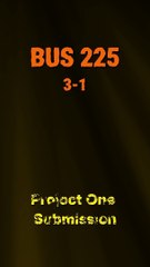 A Comprehensive Guide to BUS 225 3-1 Project One Submission