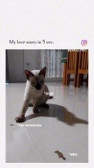 Sad relationship memories meme