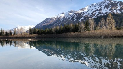 Les Brown : génération Alaska