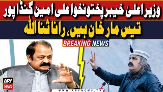 Rana Sanaullah slams Ali Ameen - ARY Breaking News