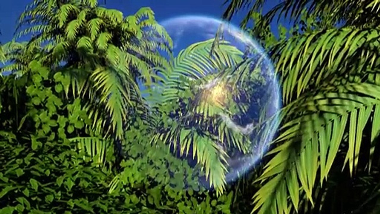 Videografik: Die Versauerung der Meere