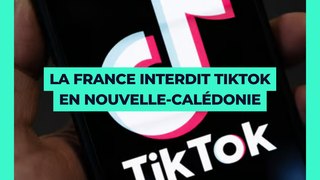    Manifestations en Nouvelle-Calédonie : La France interdit TikTok sur l'île 