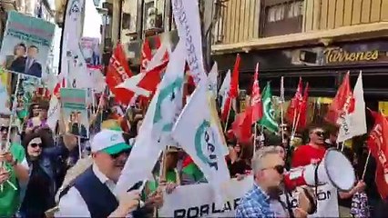 Un millar de profesores piden a García-Page el fin de los recortes en la Educación Pública