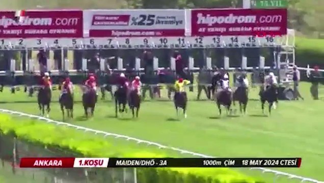 At yarışı pistinde korkunç kaza! Atlar çarpıştı bir jokey hastaneye kaldırıldı
