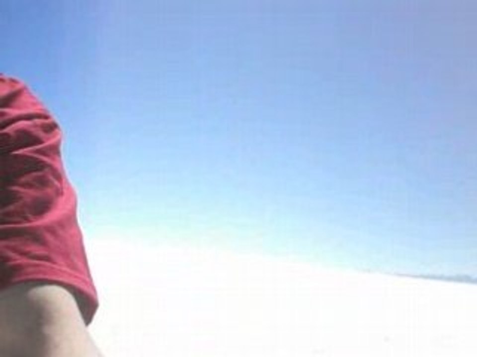 hyena au salar