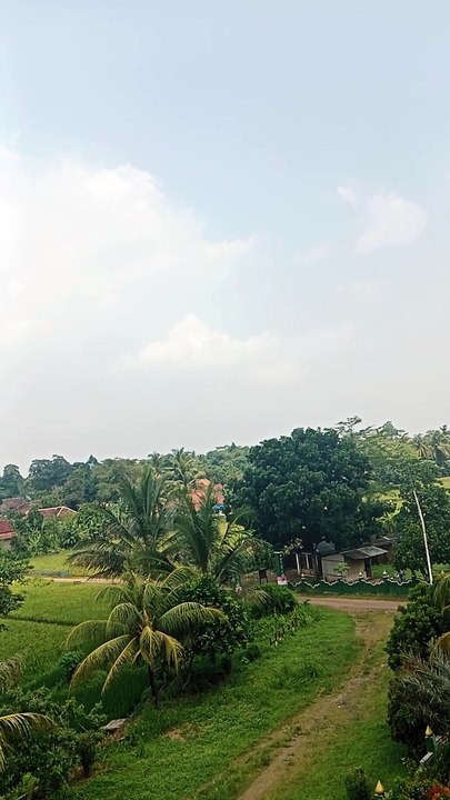 serang