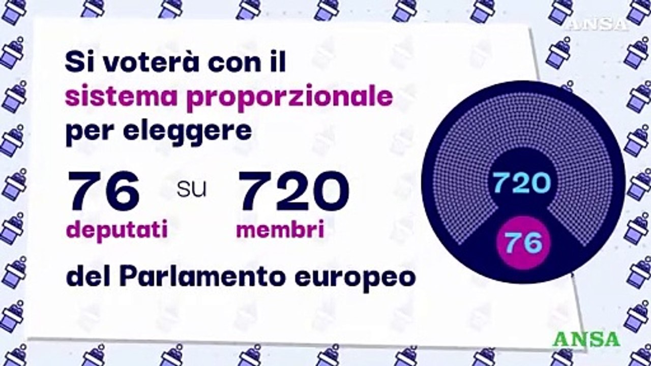 Elezioni europee: tutto quello che bisogna sape...