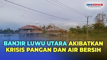 Download Video: Banjir Kepung Dua Desa di Luwu Utara Selama Tiga Bulan, Ribuan Jiwa Krisis Pangan dan Air Bersih