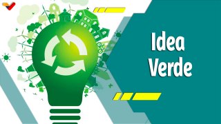Punto Verde | Idea Verde: Una alternativa de productos sostenibles y amigables con el planeta