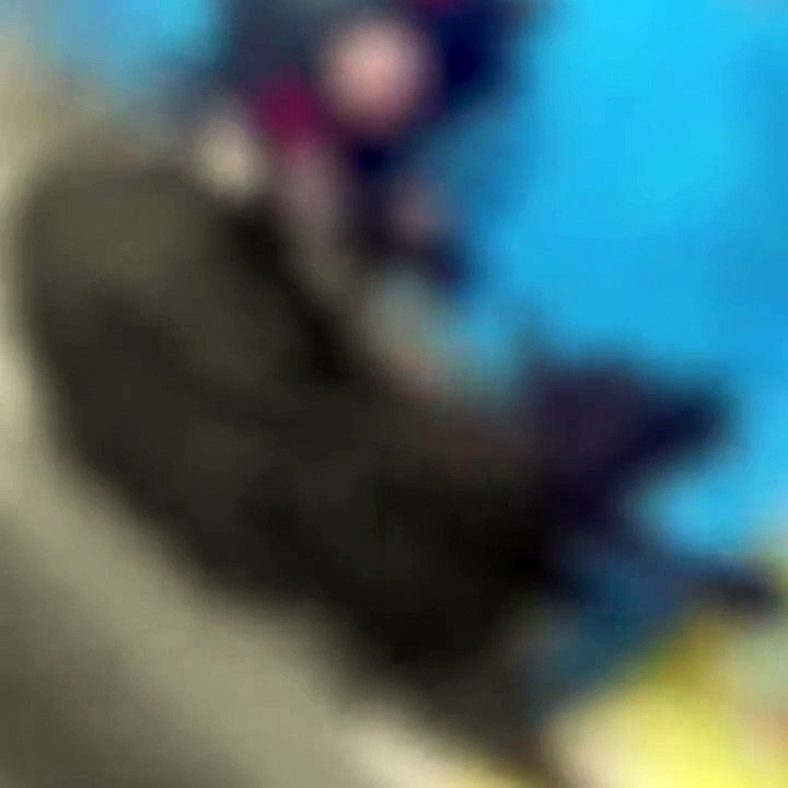 Amasya'da büyükbaş hayvana eziyet