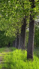 Find a windy place to sit down and relax