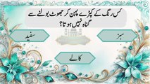Beautiful Islamic Video || Islamic Answer And Question In Urdu