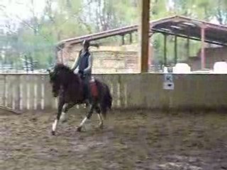 stage avec Sylvie (7)