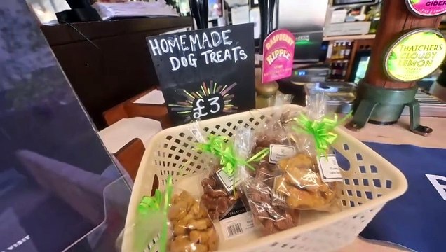 Love Your Local: The Black Star pub in Stourport, a true gem of a pub, owned and run by the landlords.