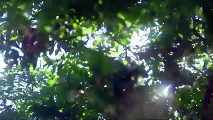 Be Loved in House: I Do (2021) Ep.4 Eng Sub