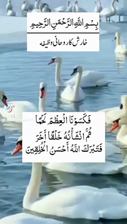 717a180b3b6002f27e1635d1c06762d8