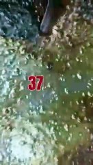 How petrol made from crude oil