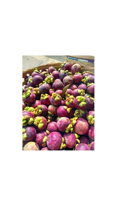Indonesian Fruit..