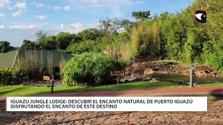 Iguazu Jungle Lodge: descubrí el encanto natural de Puerto Iguazú disfrutando el encanto de éste destino
