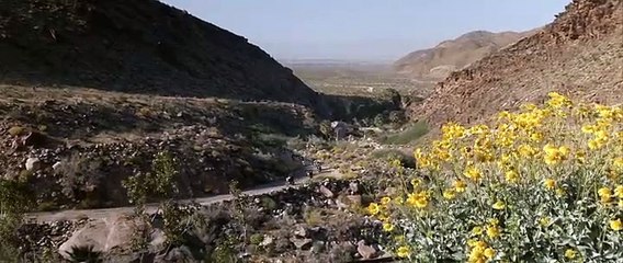 Die wilden Engel (1966) stream deutsch anschauen