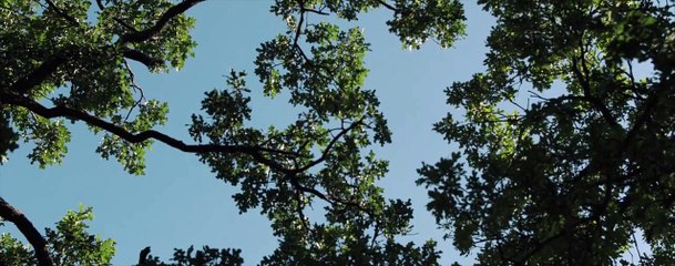 Agnes (2021) stream deutsch anschauen