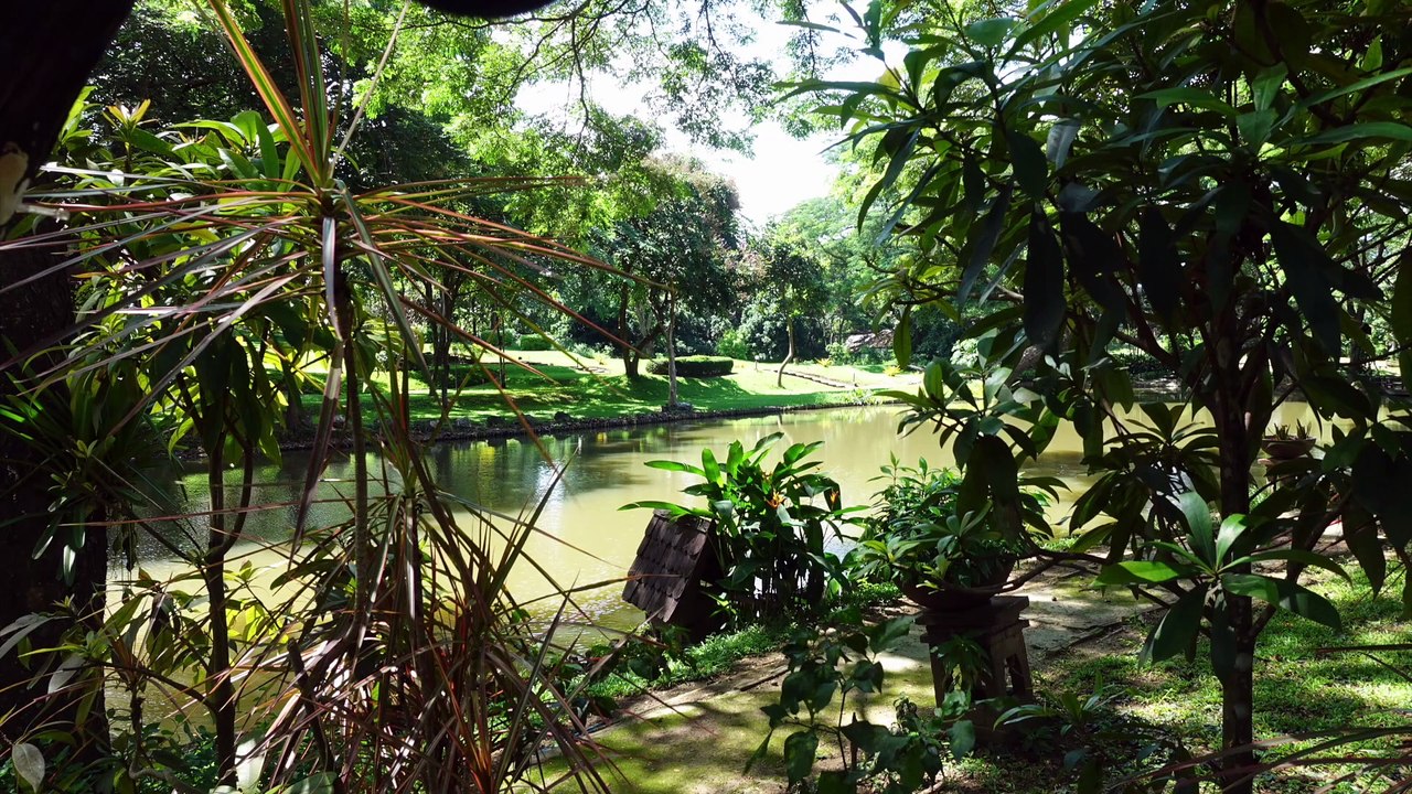 Auf dem Dorf in Thailand, von einem Wurmloch, Büffeln und Pfauen.