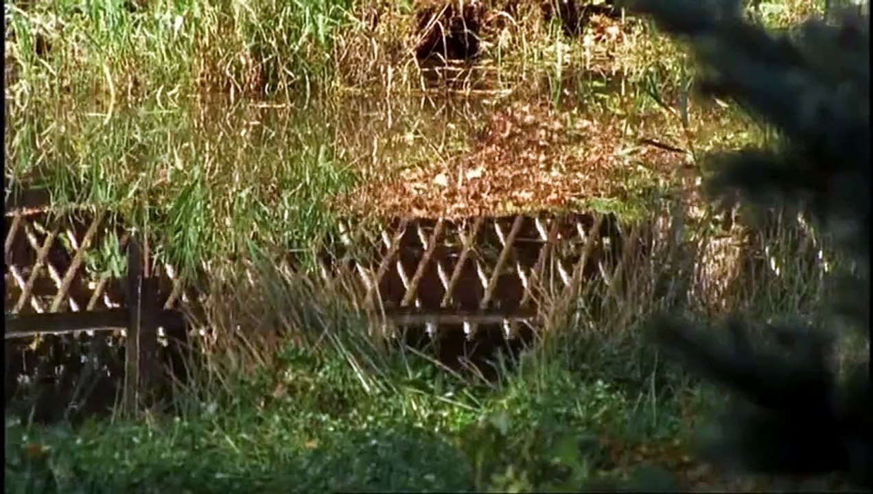 Die Rosenheim-Cops Staffel 4 Folge 3 (37) Die Leibwächter der schönen Barbara