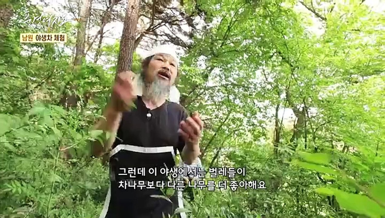 [풍경여지도] 원 없이 즐겨보는 비밀의 숲 - 전북 남원 1부