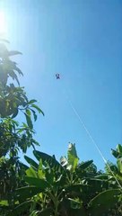 VID-20240514-WA0014