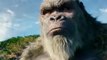 Godzilla x Kong: The New Empire | Best Fight Scene | Kong Fight