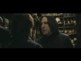 Parodie La vraie vie de Harry Potter