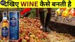 देखिए WINE कैसे बनती है | Factory Mein wine kaise banti hai | Traditional Wine Making Process | Cashew Liquor India | Kick Fact