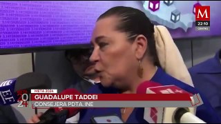 Taddei pide a oposición y 'Marea Rosa' no usar colores del INE