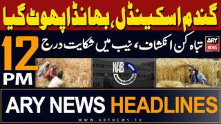 ARY News 12 PM Headlines 19th May 2024 | Wheat Scandel, New Development!