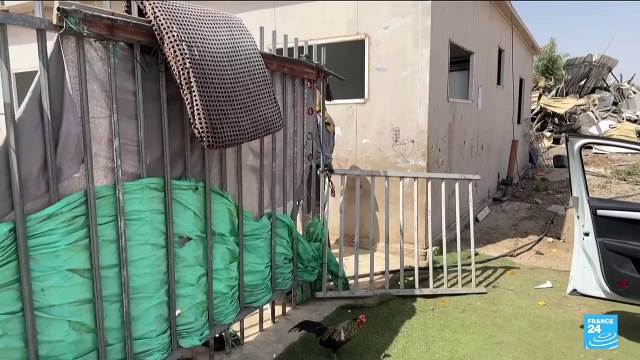 Israel evicting Negev Bedouins as they block planned motorway extension