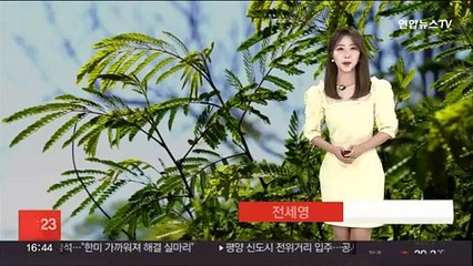 [날씨] 휴일 30도 안팎 여름 더위…내일도 맑고 따뜻