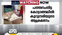 പത്തനംതിട്ട കോട്ടാങ്ങലിൽ  കുറുനരി ആക്രമണത്തിൽ ആറു പേർക്ക് പരിക്ക്