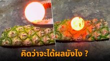 ไวรัล ทดลองวางลูกเหล็กร้อน 1,000 องศา บนเปลือกสับปะรด ผลที่ได้ทำเอาอึ้ง