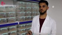 Urfa'da yetiştirdiği akreplerin zehrini yurt dışına satıyor