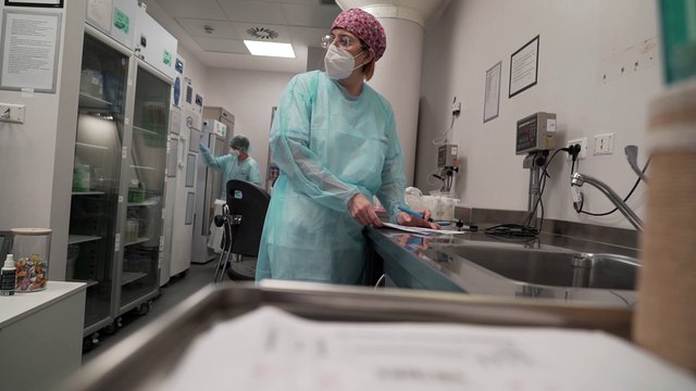 Dentro la banca del latte donato dell'ospedale Bambino Gesù: Un grande gesto d'amore tra mamme