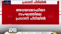 സംസ്ഥാനത്തെ അവയവമാഫിയ സംഘത്തിലെ പ്രധാനി പിടിയില്‍