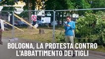 Bologna, la protesta contro l'abbattimento dei tigli